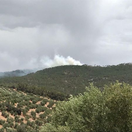 Casa Felix ξενώνας Segura de la Sierra Εξωτερικό φωτογραφία